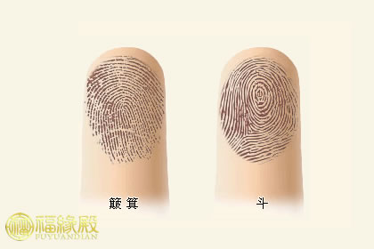 揭密：傳統手相指紋算命法(圖文)