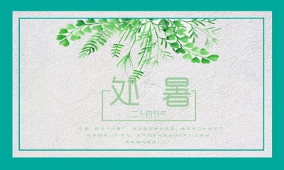 屬雞的人處暑節氣出生命運怎么樣？(圖文)