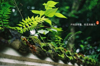 2019年7月7日小暑出生的人命數(shù)和運(yùn)勢(shì)(圖文)