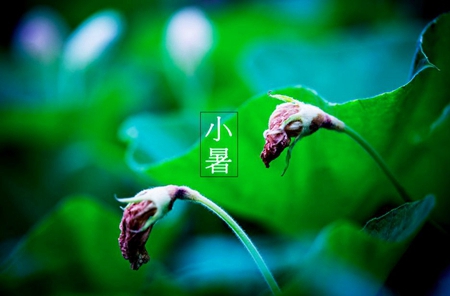 2019年7月7日小暑出行日子好不好,小暑是什么意思？(圖文)