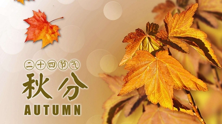 2019年秋分前一天八月二十四日子好不好,適合裝修動土嗎?(圖文)