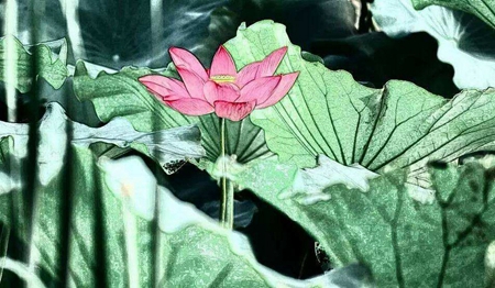 2019年7月7日小暑適合買房立券嗎,小暑后一個節(jié)氣是什么？(圖文)