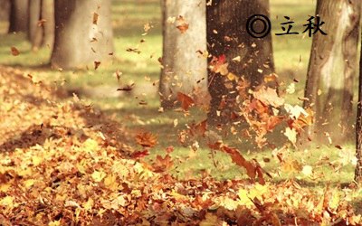 立秋無雨收半秋啥意思？立秋無雨樣樣有是錯誤的嗎？(圖文)