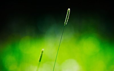 2019年農(nóng)歷八月二十三日是黃道吉日好日子嗎？(圖文)