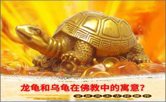 龍龜和烏龜在佛教中的寓意