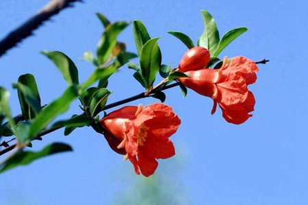 2019年陰歷七月二十九適合燒香祈福嗎,這一天卦象怎么樣？(圖文)