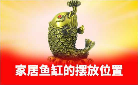 魚缸的擺放位置