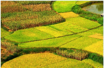 2019年農(nóng)歷八月初六是理發(fā)吉日嗎 剪頭發(fā)好不好？(圖文)