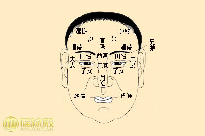 面相解析：面相十二宮詳解(圖文)