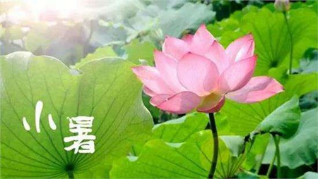 2019年小暑前一天日子適合搬家嗎,2019年小暑幾點幾分？(圖文)
