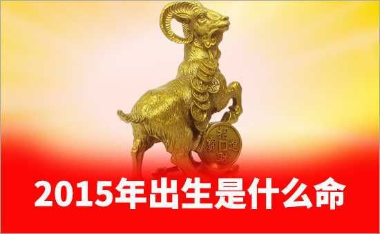 2015年是什么命