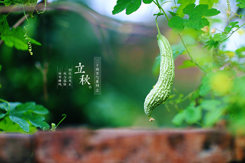 2019年立秋這天可以理發(fā)嗎?文殊菩薩剃頭吉日(圖文)