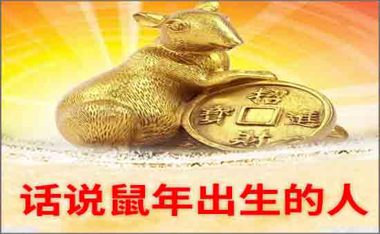 鼠年出生的人