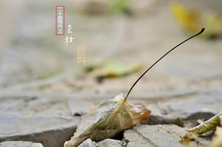 2019年8月8日立秋燒香祈福好嗎,2019年立秋會不會下雨？(圖文)