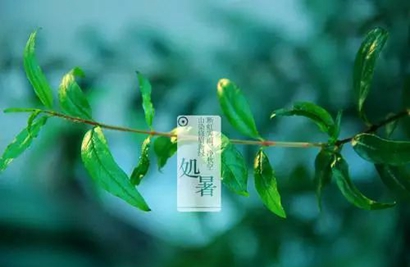 2019年處暑是出伏嗎 處暑前后的節氣是什么?(圖文)