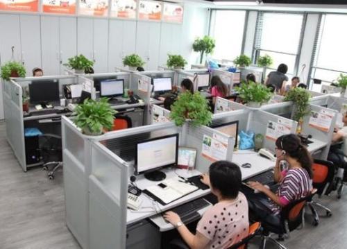 辦公室盆栽的擺放風水,怎么擺放辦公室盆栽(圖文)