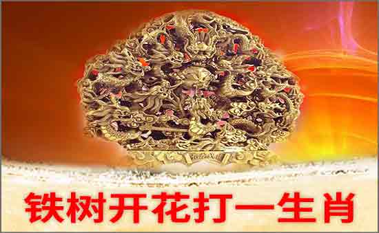 鐵樹開花打一生肖