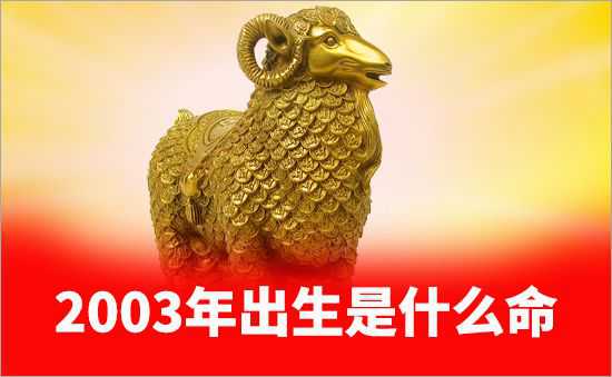 2003年是什么命