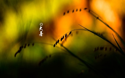2019年大暑是幾月幾日幾時幾分？大暑的節氣三候是什么？(圖文)