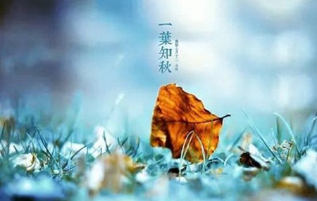 2019年8月8日立秋出生男孩五行缺什么，命運如何？(圖文)