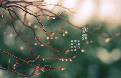 2019年農歷九月初十日寒露節氣適不適合出行？(圖文)