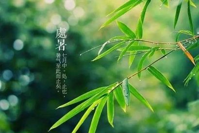2019年處暑是出伏嗎 處暑前后的節氣是什么?(圖文)