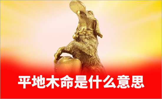 平地木命