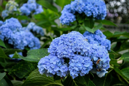 2019年農(nóng)歷八月二十三簽約吉不吉利,簽約有什么講究？(圖文)