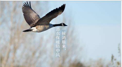 2019年農(nóng)歷八月初十白露節(jié)氣日子好嗎適合理發(fā)嗎？(圖文)