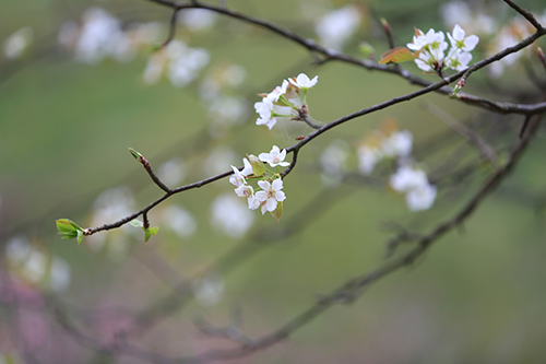 2018年屬龍的12月份桃花運(yùn)怎么樣