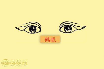 什么是鶴眼？有何寓意？(圖文)