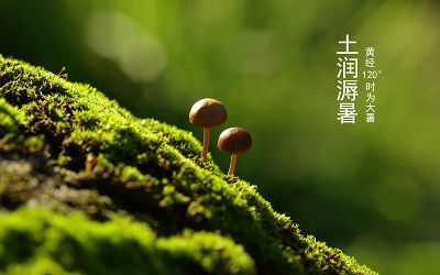 大暑就是入伏了嗎？大暑是入伏第幾天？(圖文)