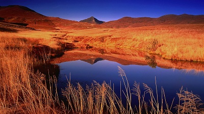 屬猴的好命人大多出生在幾月?不同日子分別什么命?(圖文)