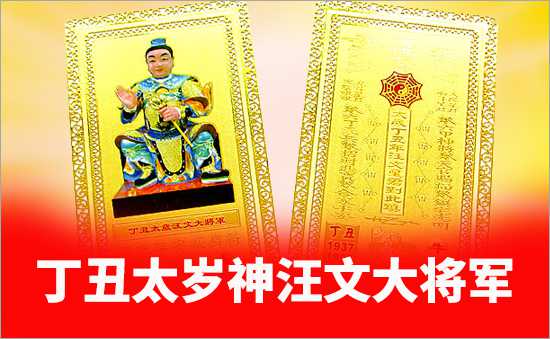 丁丑太歲汪文大將軍