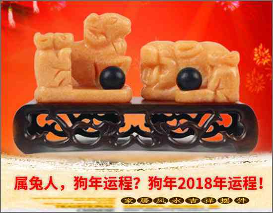 屬兔人，狗年運程？狗年2018年運程！