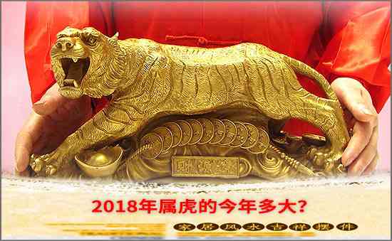 2018年屬虎的今年多大