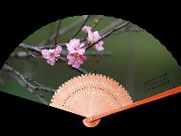2018年屬龍的12月份桃花運(yùn)怎么樣