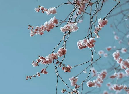 2019年八一建軍節買房日子合適嗎,八一建軍節是為了紀念什么?(圖文)