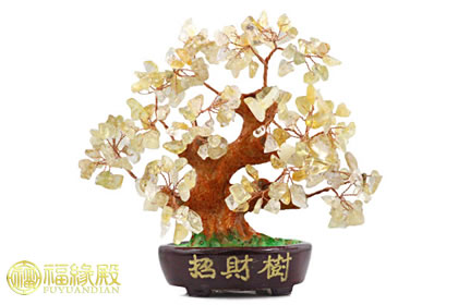 旺財風水寶物擺放有何講究？(圖文)