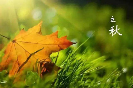 立秋的古詩諺語有哪些,關于立秋古詩諺語解析！(圖文)