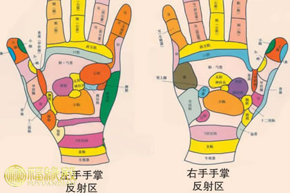 從手相看健康：立身之本不可輕視(圖文)