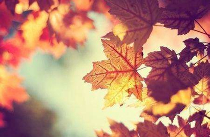 2019年農歷八月初九是祭祀祭祖的好日子嗎?(圖文)