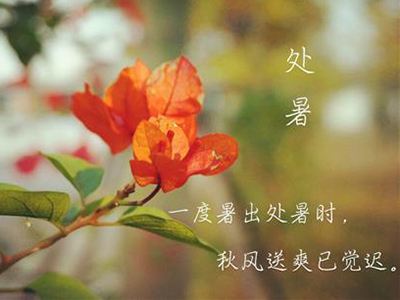 處暑節(jié)氣應(yīng)該要注意什么？處暑飲食注意事項(xiàng)(圖文)