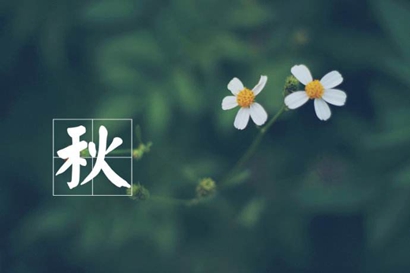 2019年頭伏和末伏是哪天 立秋是末伏嗎？(圖文)