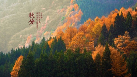 2019年八月二十五秋分簽約好嗎,秋分豎蛋有何技巧?(圖文)