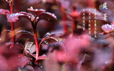 處暑熱嗎？處暑熱還是大暑熱？(圖文)