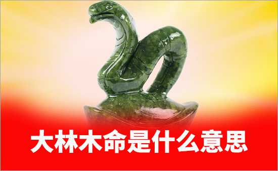 大林木命