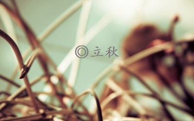 立秋無雨收半秋啥意思？立秋無雨樣樣有是錯誤的嗎？(圖文)
