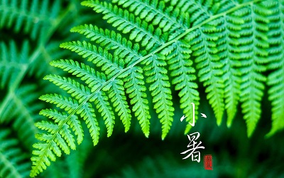 小暑出生是純陰命嗎？純陰命是什么時候出生的？(圖文)