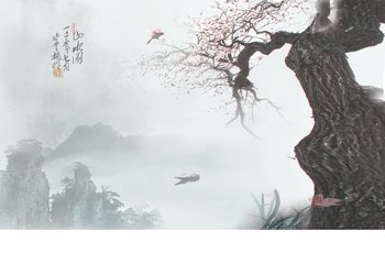 屬虎人哪天出生最好.jpg